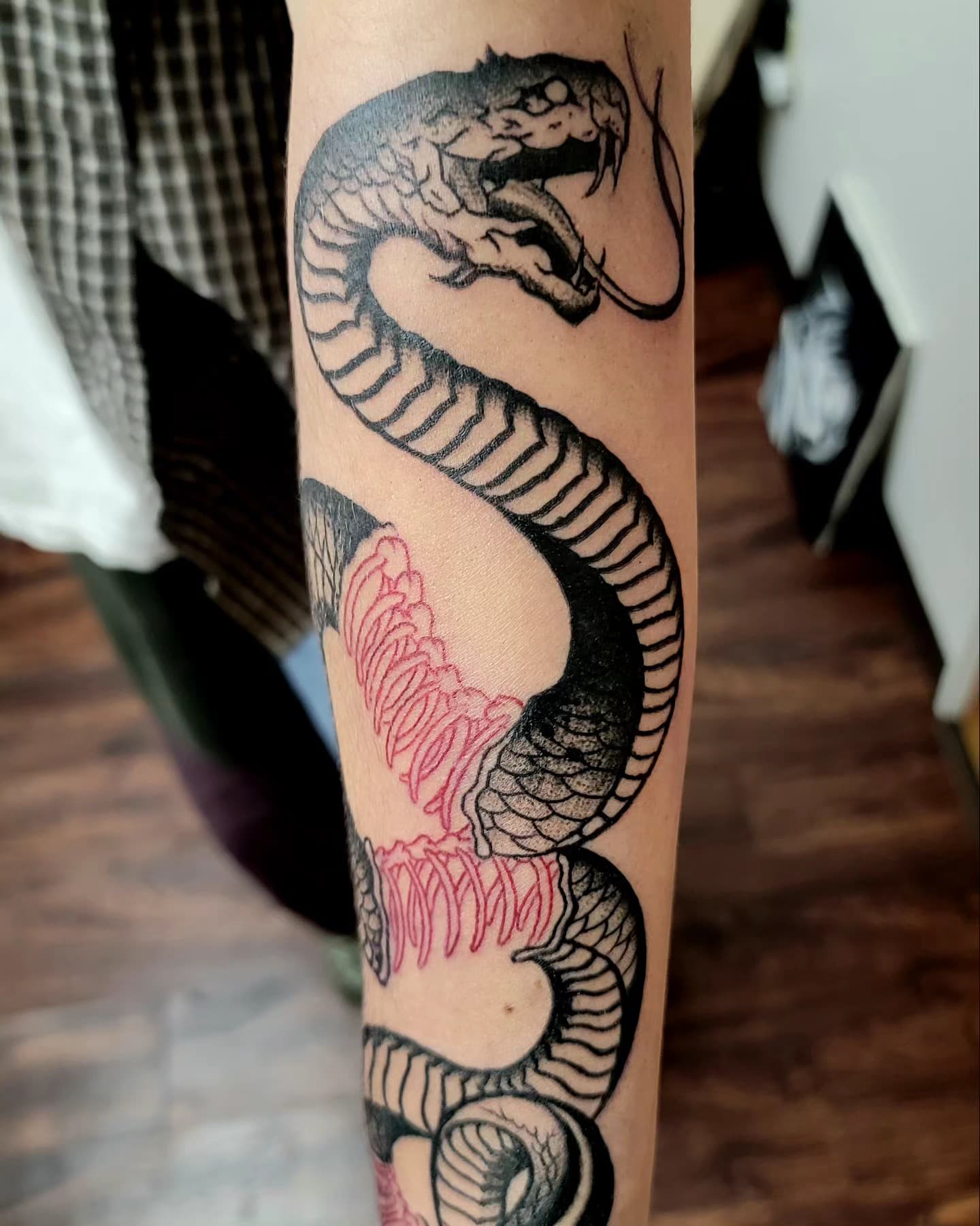 Colorful snake tattoo on arm