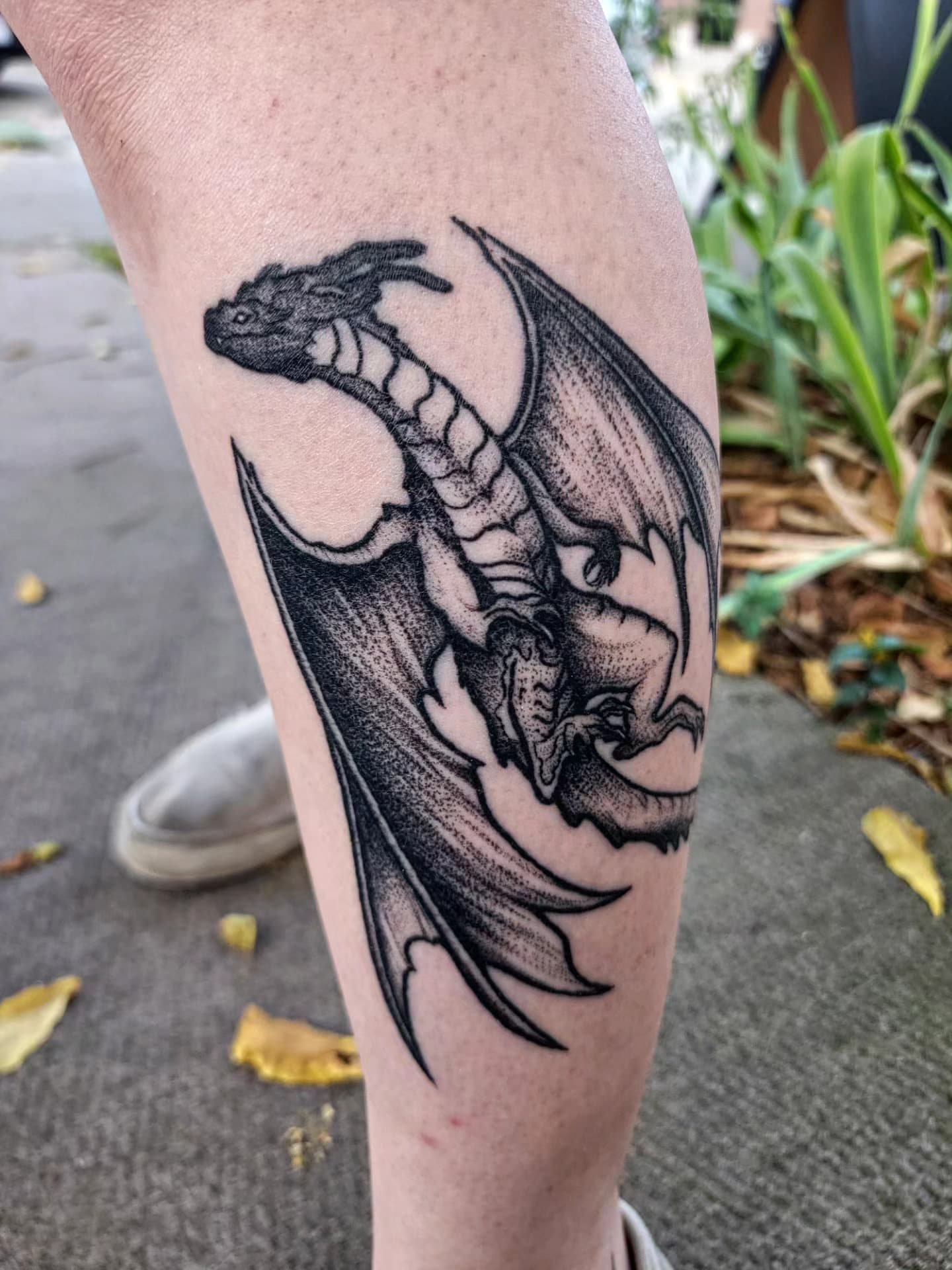 Black and gray dragon tattoo on calf